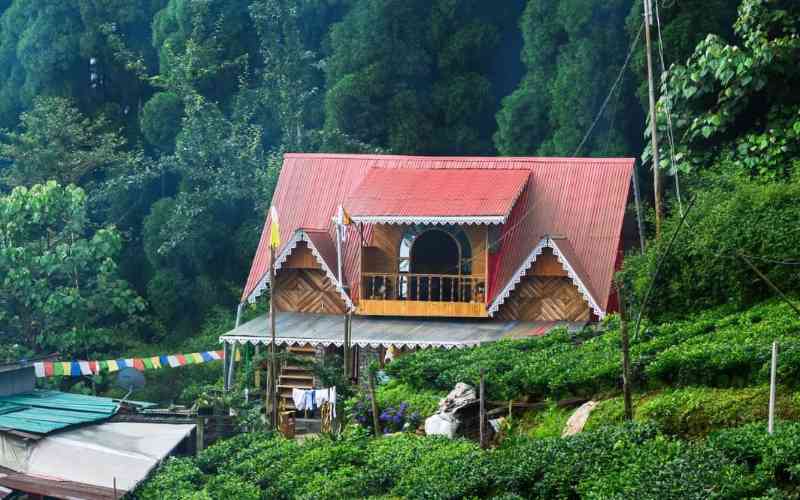 Yang Homestay - Pokhribong (Darjeeling)