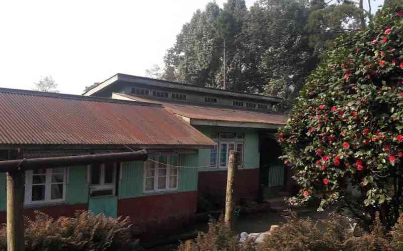 Mother Nature Hut - Plungdung (Darjeeling)