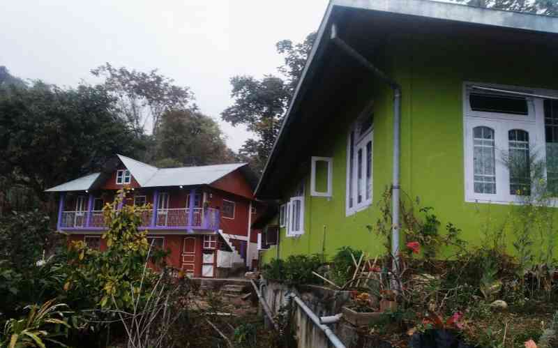 Tribal Trees Homestay - Dalapchand (Kalimpong)