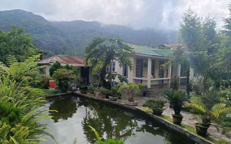 Jharna Homestay - Tabakoshi (Mirik)