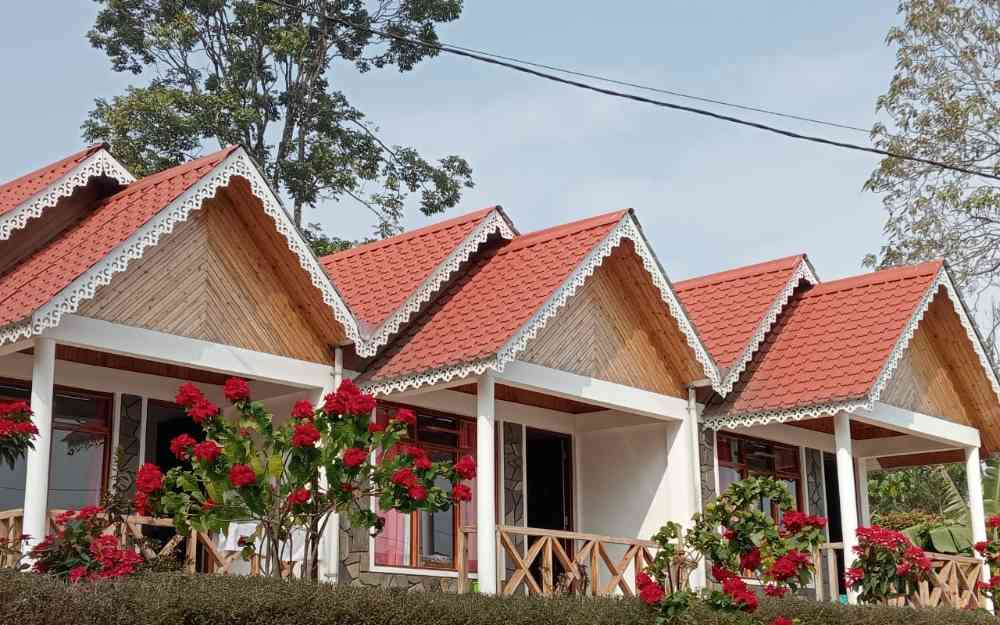 Go Green Homestay - Chhota Mangwa (Takdah)