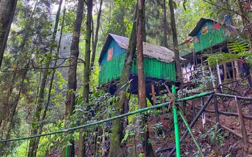 Ecopulse Camping - Kurseong