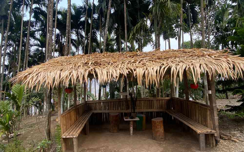 Nature Of Yelbong (Restaurant & Homestay) - Yelbong