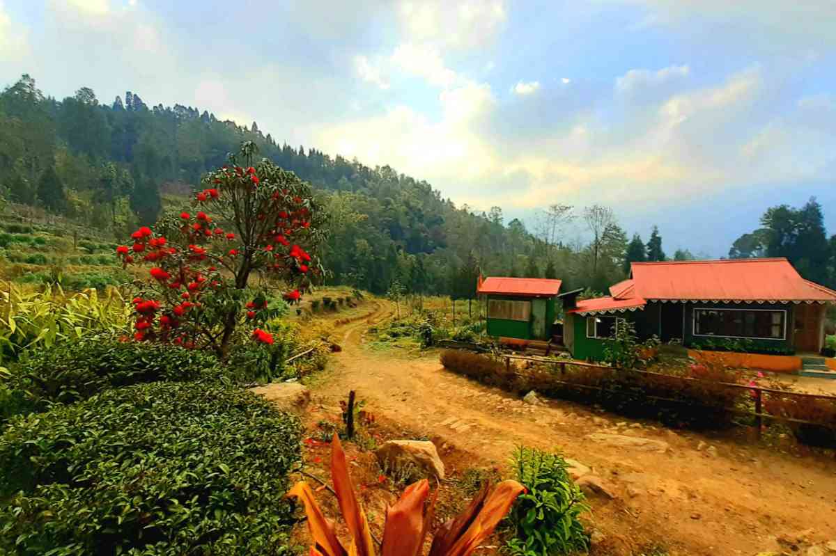 Langurdang Farmstay - Bijanbari