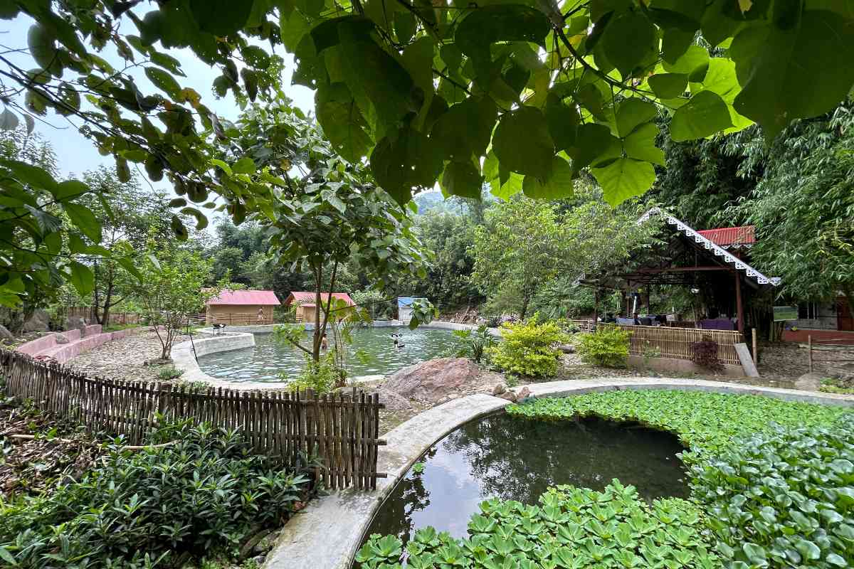 Bagar Farmstay - Sonada (Darjeeling)