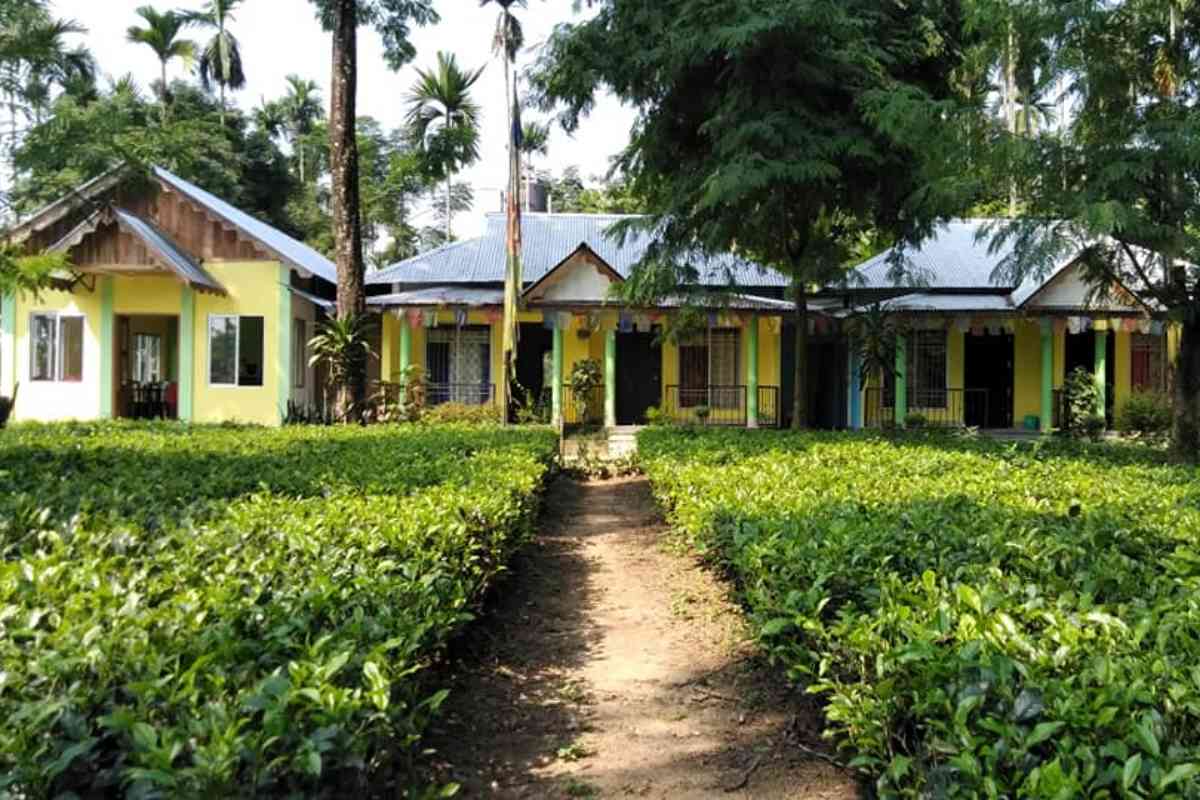 Tea Garden Homestay, Garumara