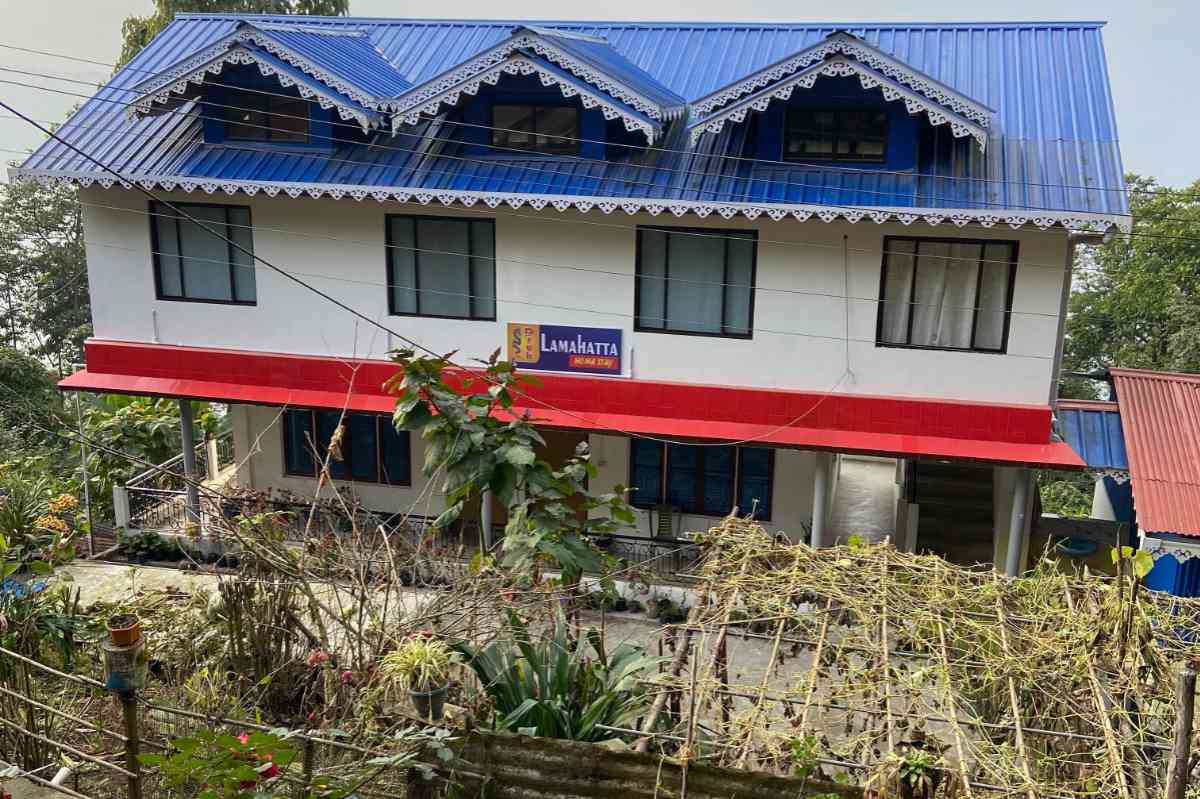 Druk Lamahatta Homestay - Lamahatta