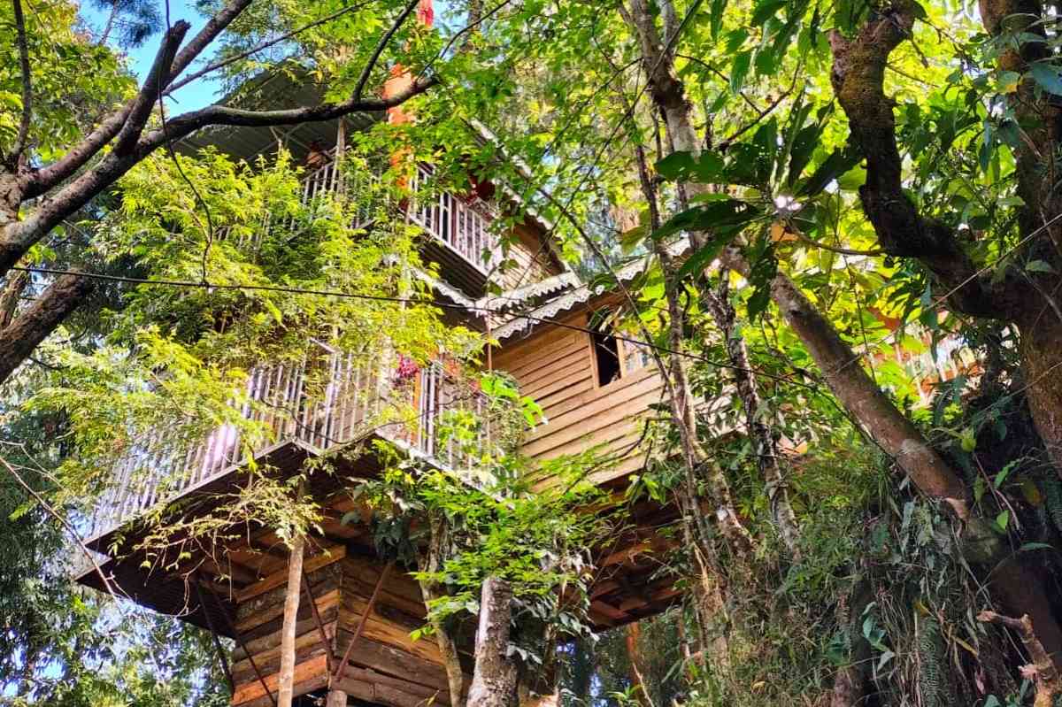 Mirik Treehouse Homestay