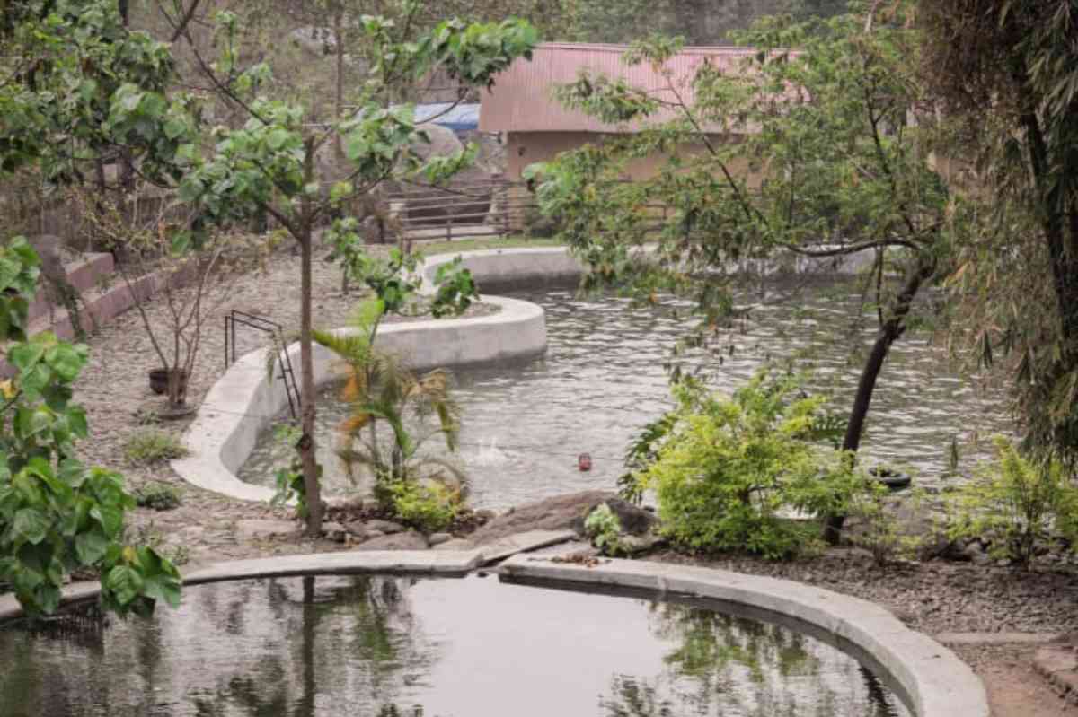 Bagar Farmstay - Sonada (Darjeeling)