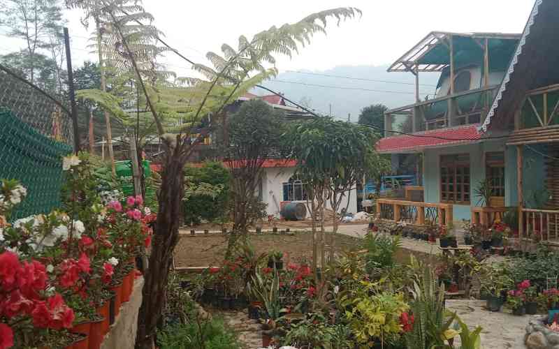 Daughter J Homestay - Tabakoshi (Mirik)