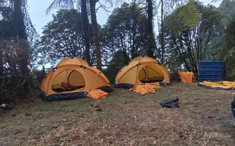 Mother Nature Hut - Plungdung (Darjeeling)