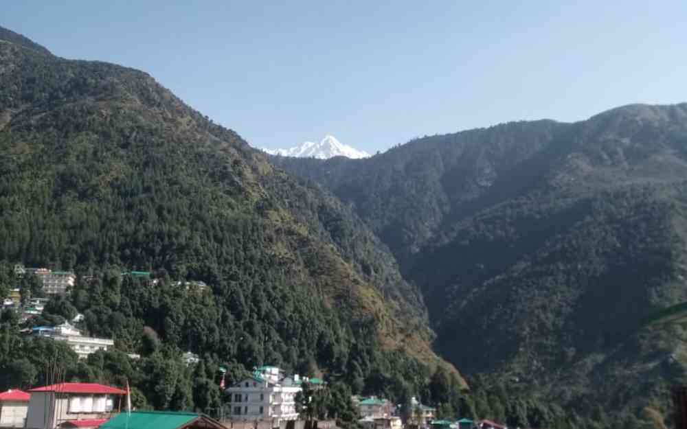 Crazy Clouds Homestay - Dharamshala