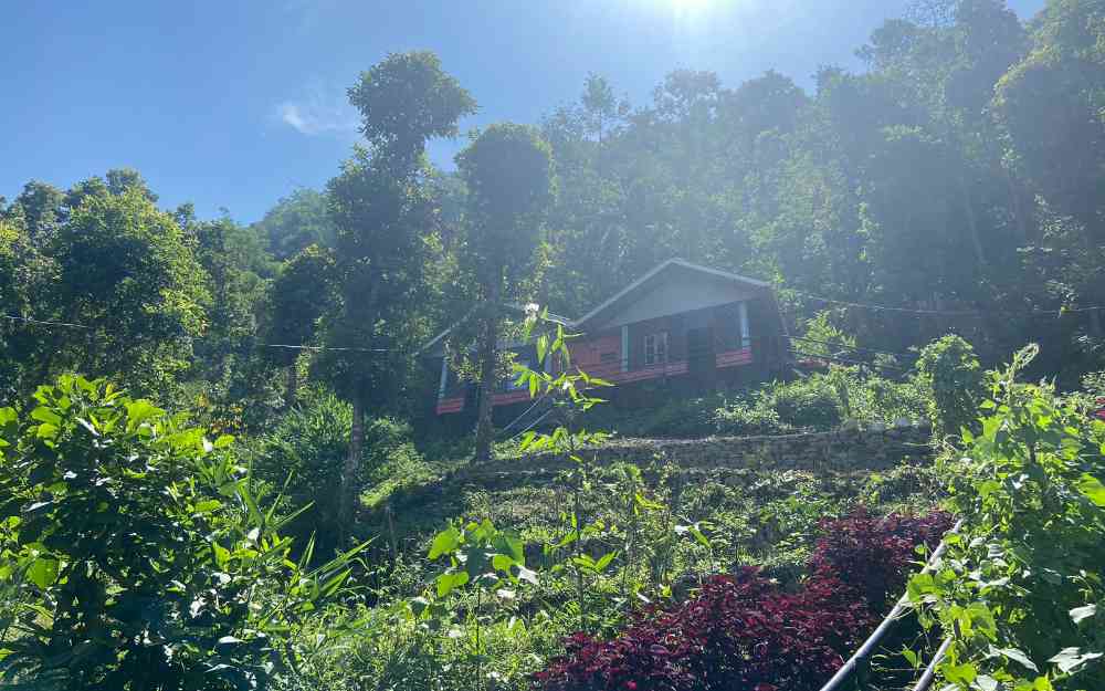 Renuka Homestay - Kalimpong