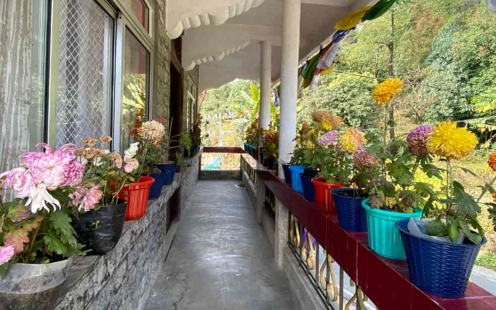 Him Kasturi Homestay - Poobong (Darjeeling)