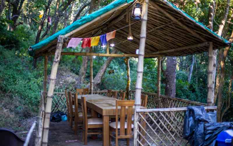 On Tree Camp and Homestay - Nainital