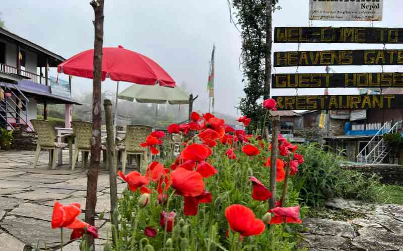 Heaven's Gate Guest House and Restaurant - Pokhara (Nepal)