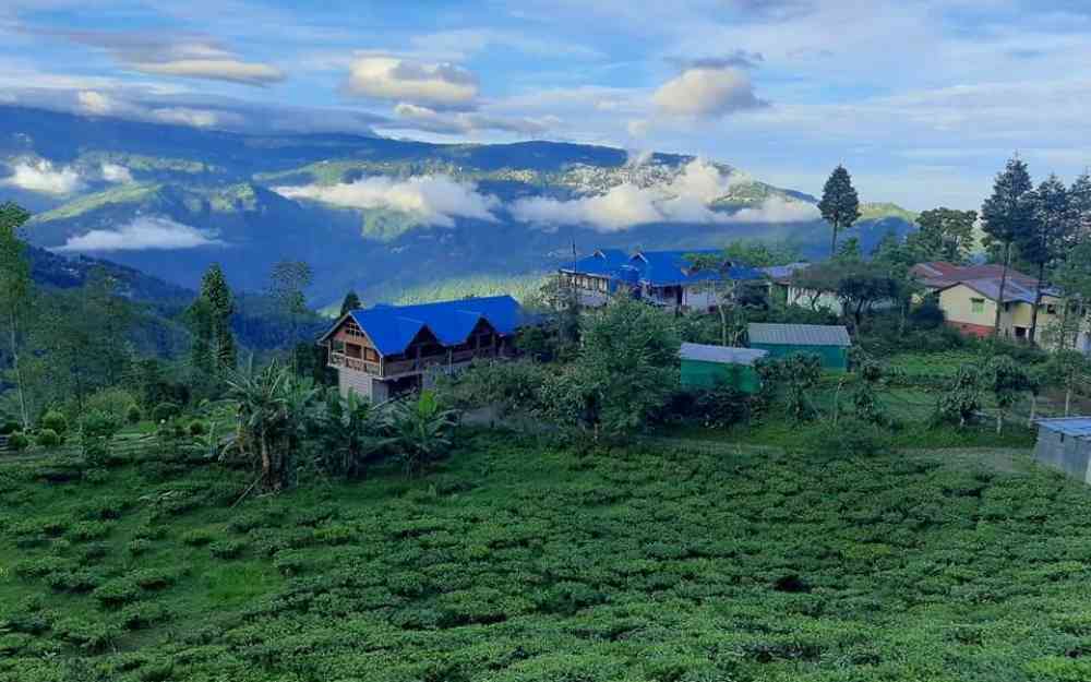 Rajeshwari Homestay - Soureni (Mirik)