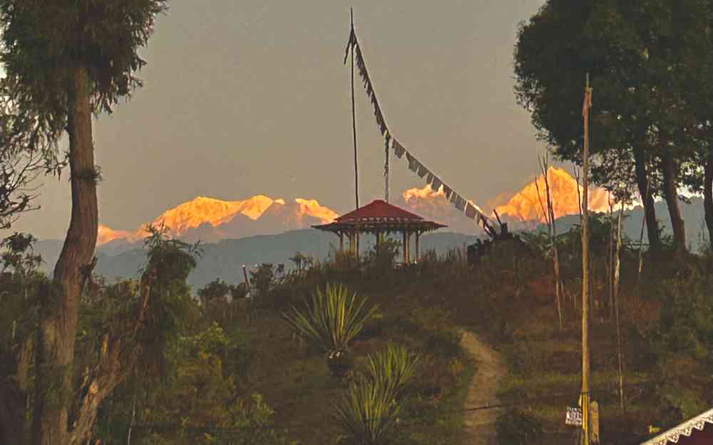 The Nest Homestay - Pedong (Kalimpong)