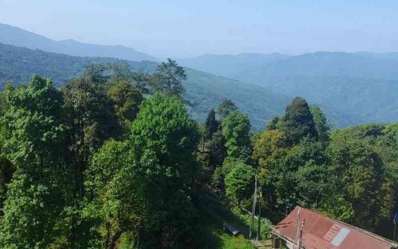 Puspaanjali Homestay - Darjeeling