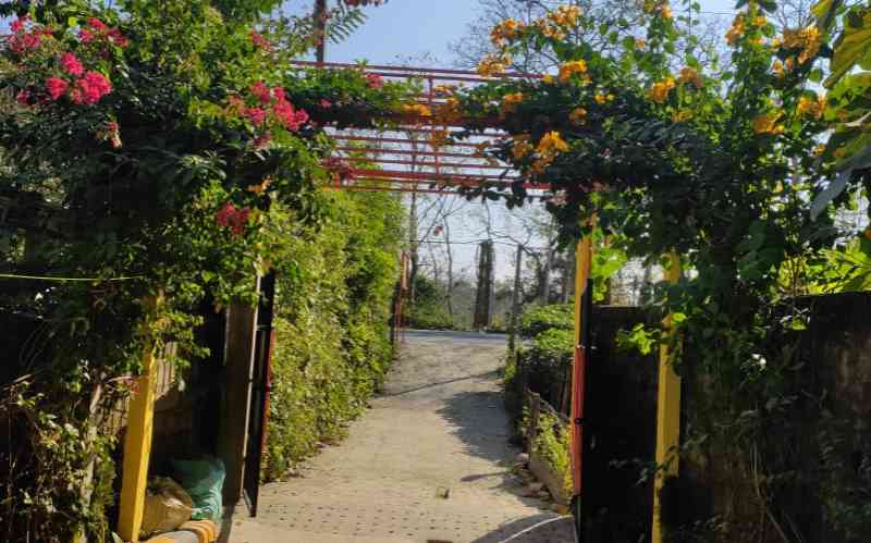 Holiday Homestay Jaldapara - Dooars