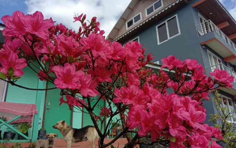 Laliguras Homestay - West Sikkim