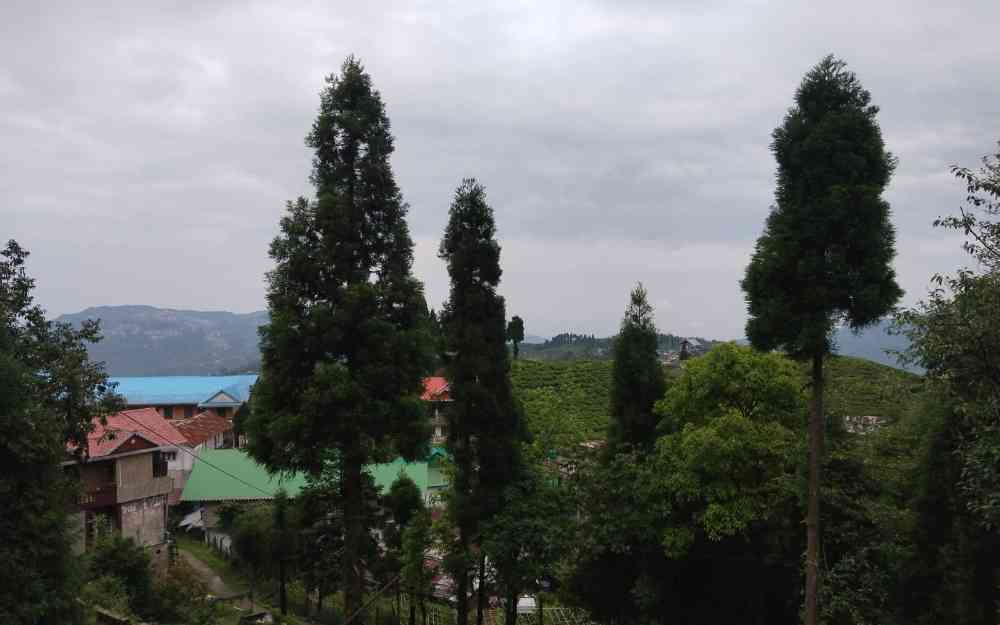 Jawbari Homestay - Mirik