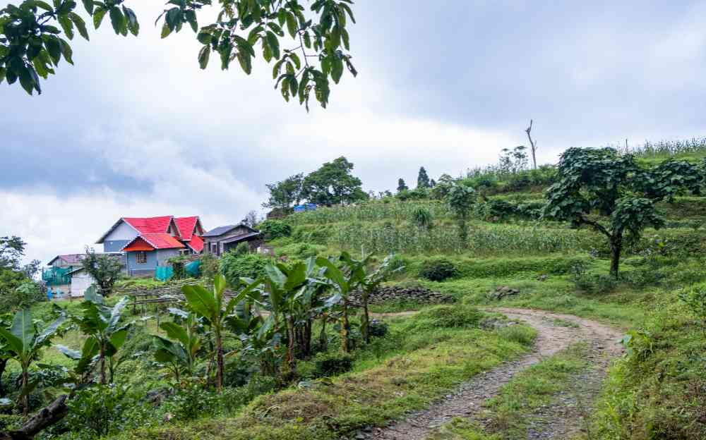 Sumkhim Homestay - Sittong