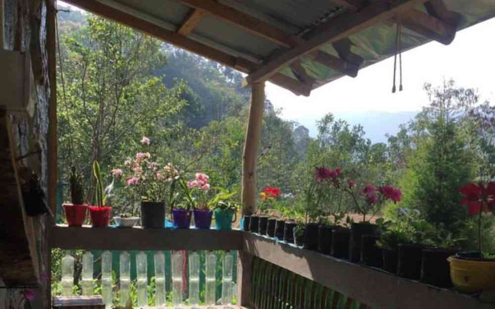 Himalaya Orange Field Homestay - Tabakoshi (Mirik)