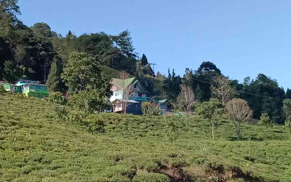 Himalayan Vacation Homestay - Lebong