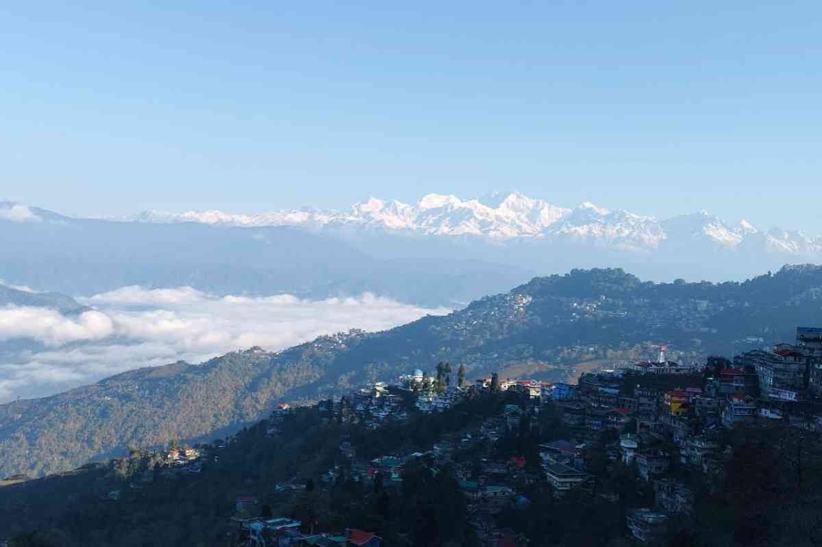 Springfield Stays Homestay - Darjeeling