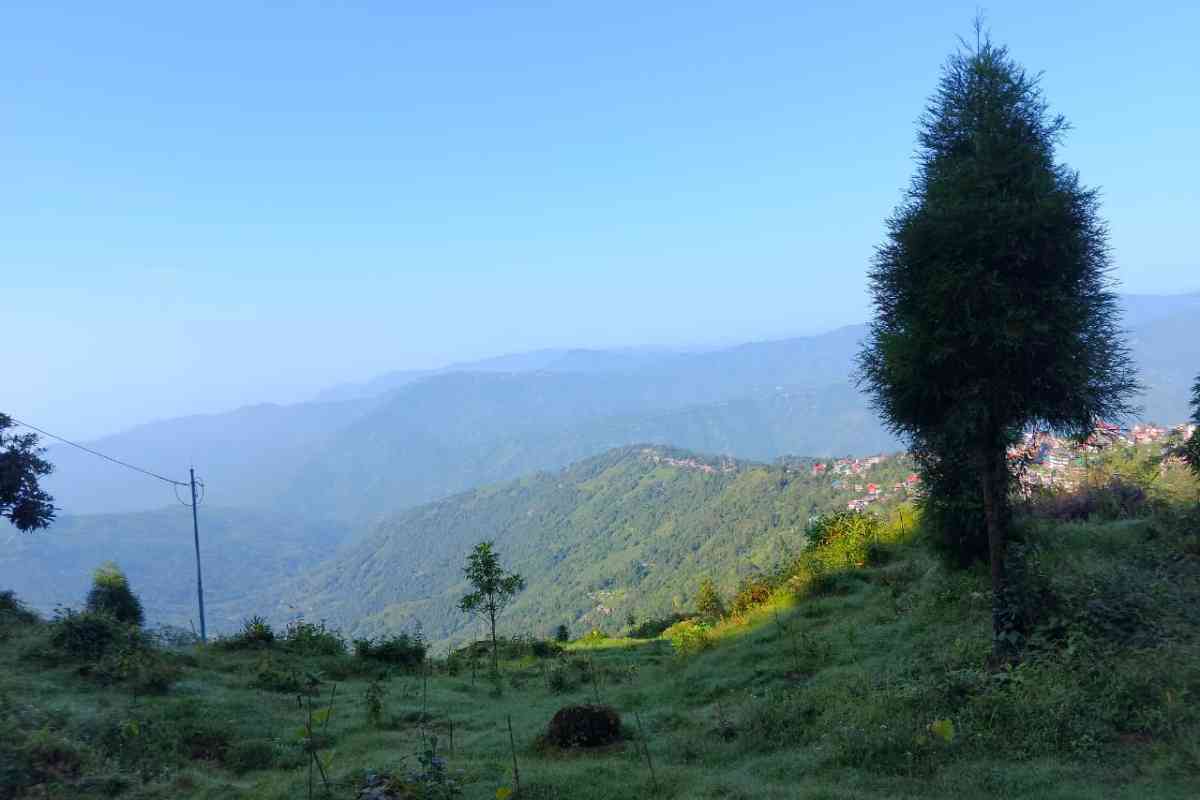 Topgyel Homestay - Sonada (Darjeeling)