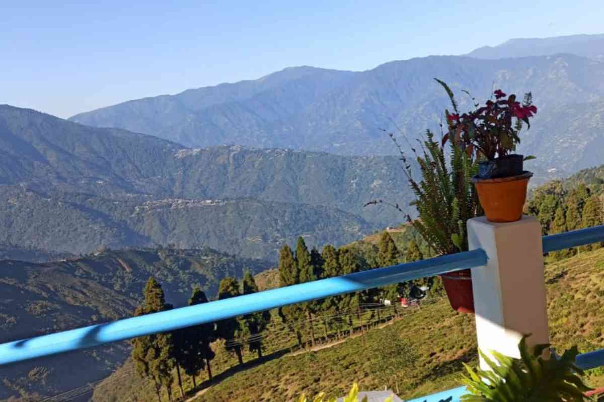 Valley View Homestay - Darjeeling