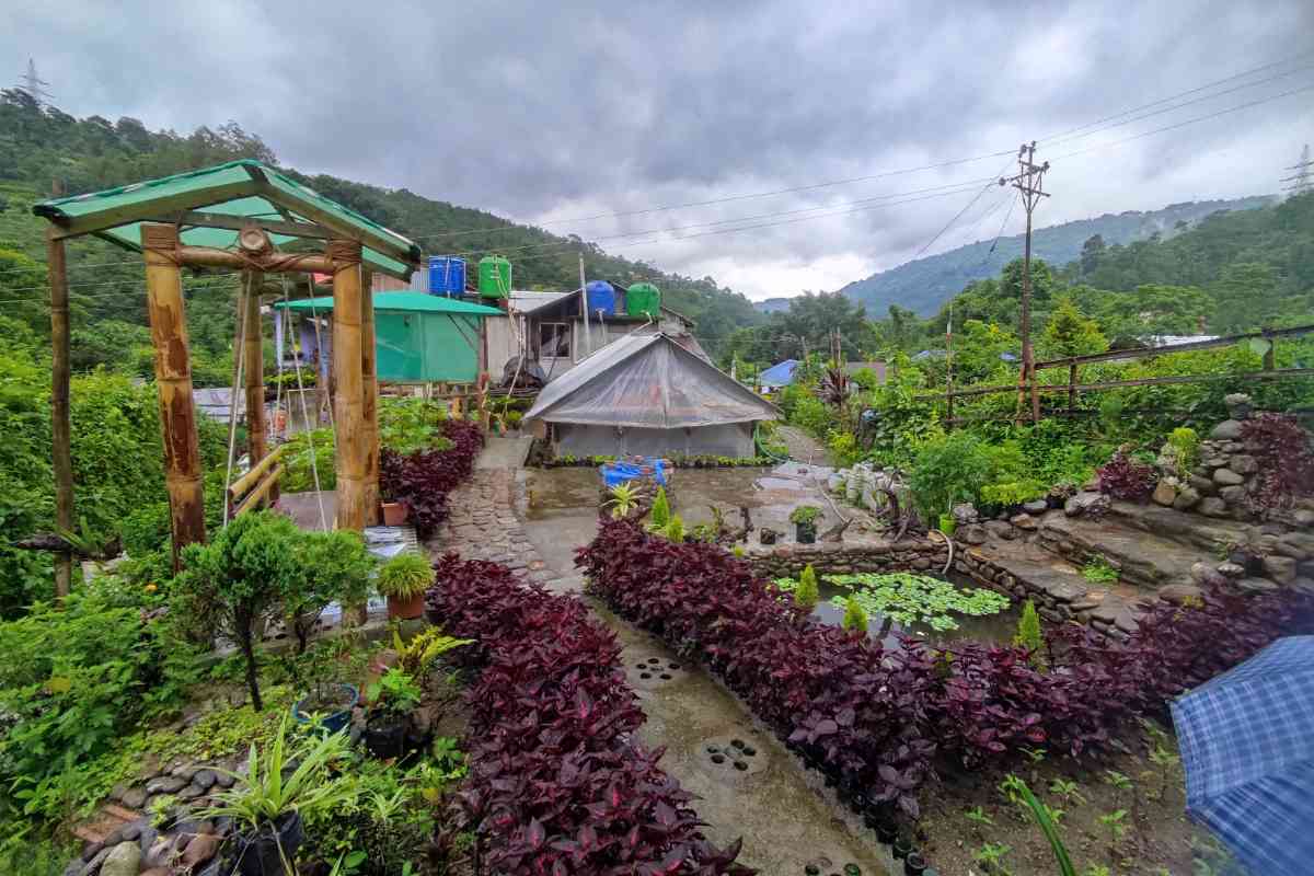 Newar Homestay - Tabakoshi (Mirik)