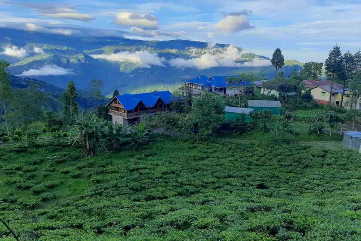 Rajeshwari Homestay - Soureni (Mirik)