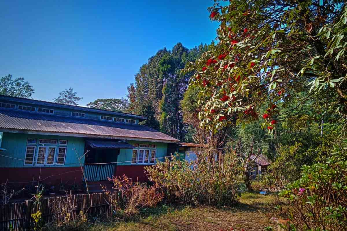 Mother Nature Hut - Plungdung (Darjeeling)