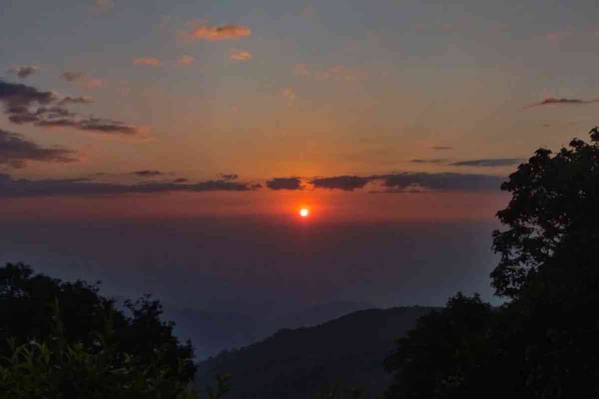 Forest Cabin - Kaffergaon