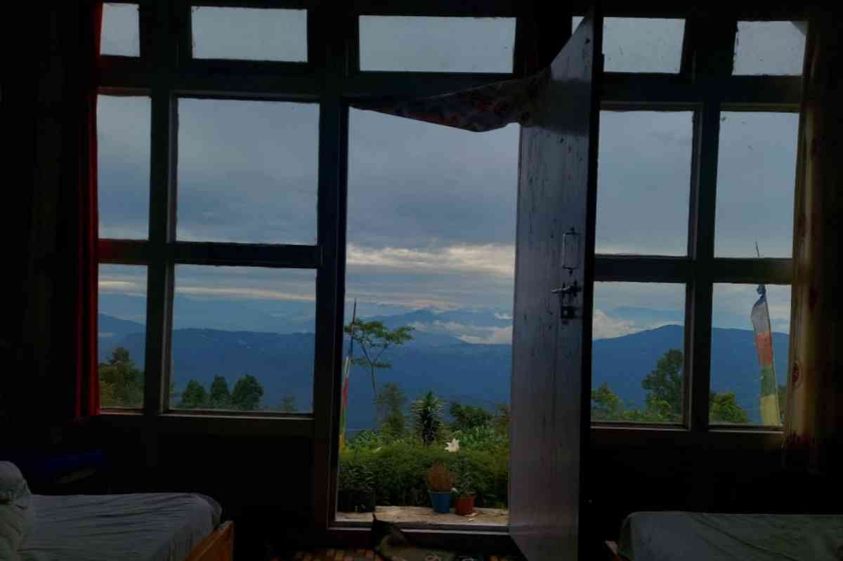 Window View Homestay