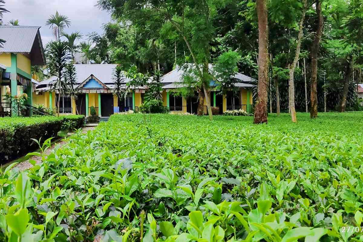 Tea Garden Homestay, Garumara