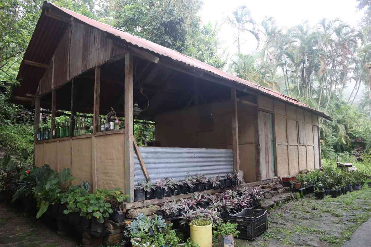 The Bicknell's  Nest - Kalimpong