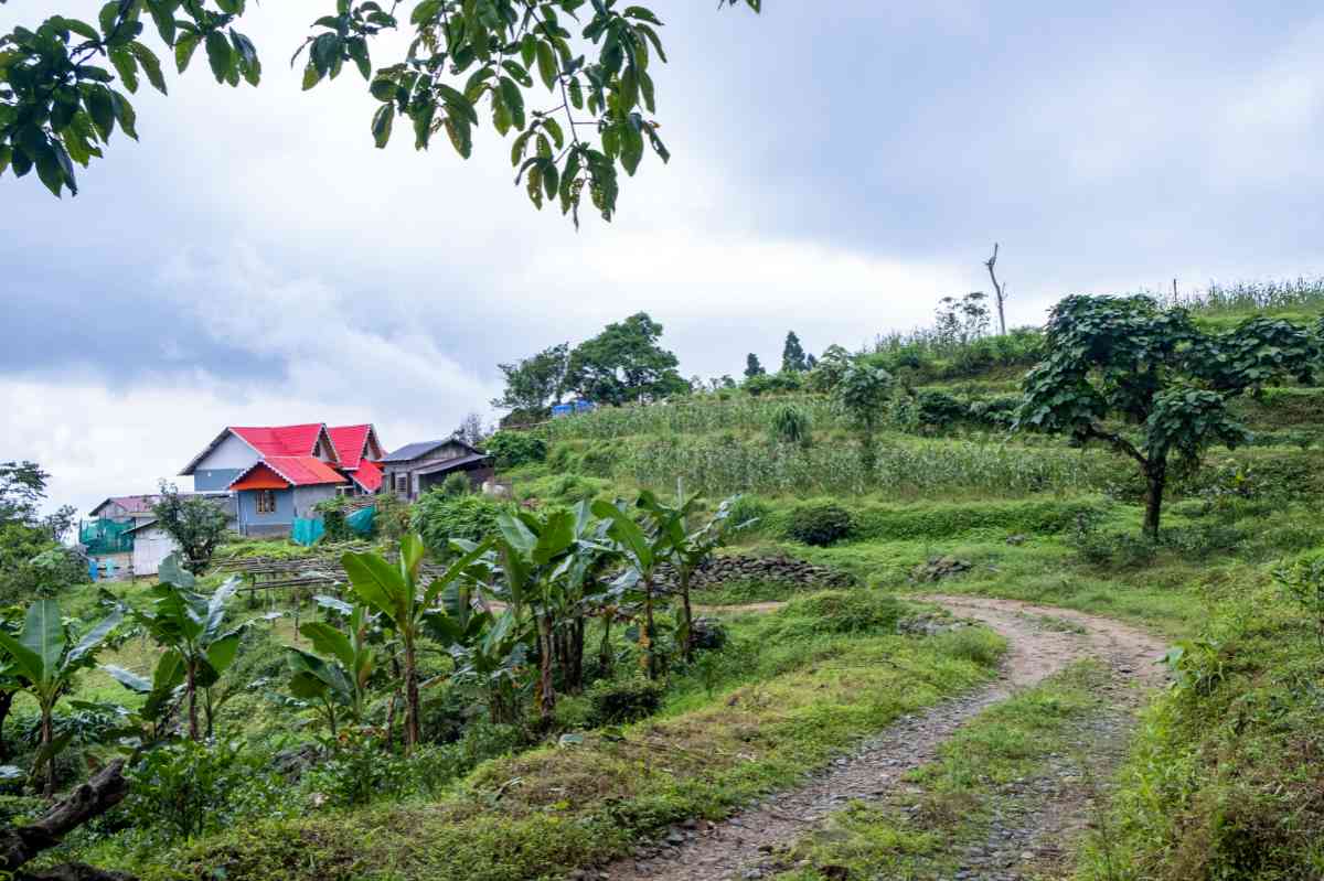 Sumkhim Homestay - Sittong