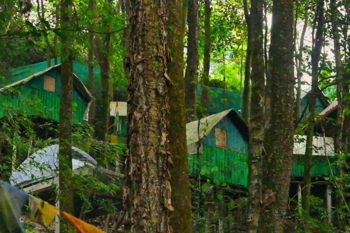 Ecopulse Camping - Kurseong