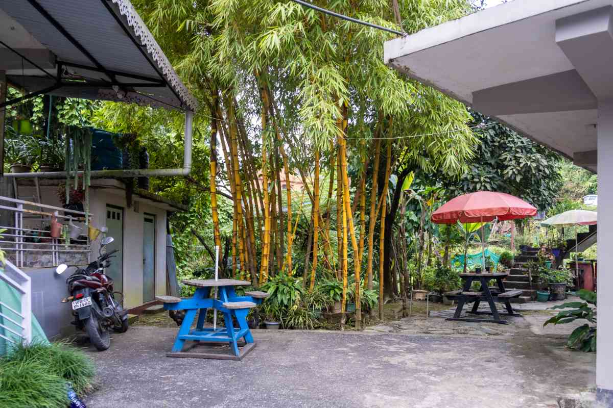 Yellow Bamboo Homestay - Sittong