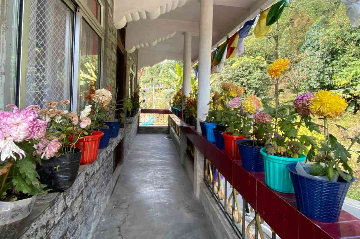 Him Kasturi Homestay - Poobong (Darjeeling)