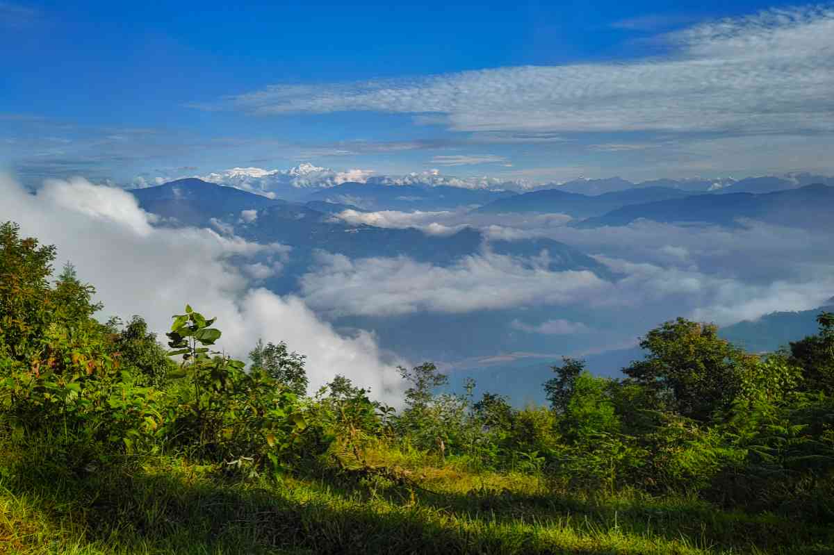 Misty Deolo Homestay