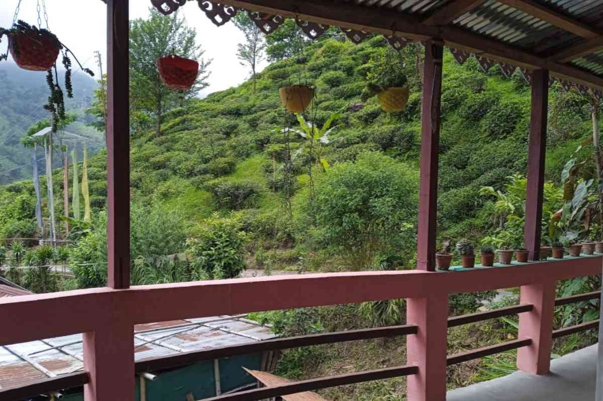 Koko Mhendo Homestay - Tabakoshi (Mirik)