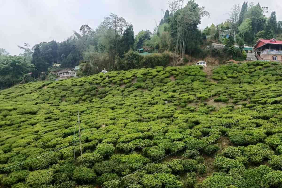 Gruham Homestay - Mirik