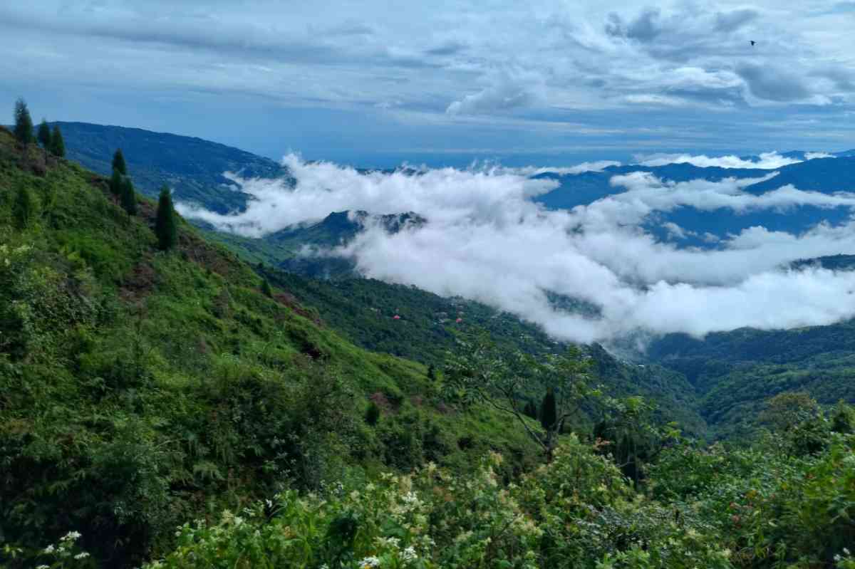 Topgyel Homestay - Sonada (Darjeeling)