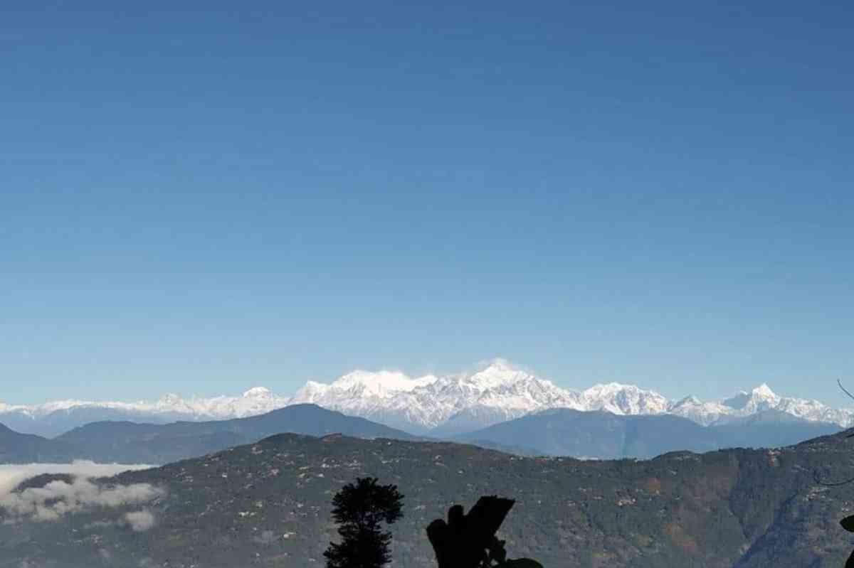 Forest Cabin - Kaffergaon