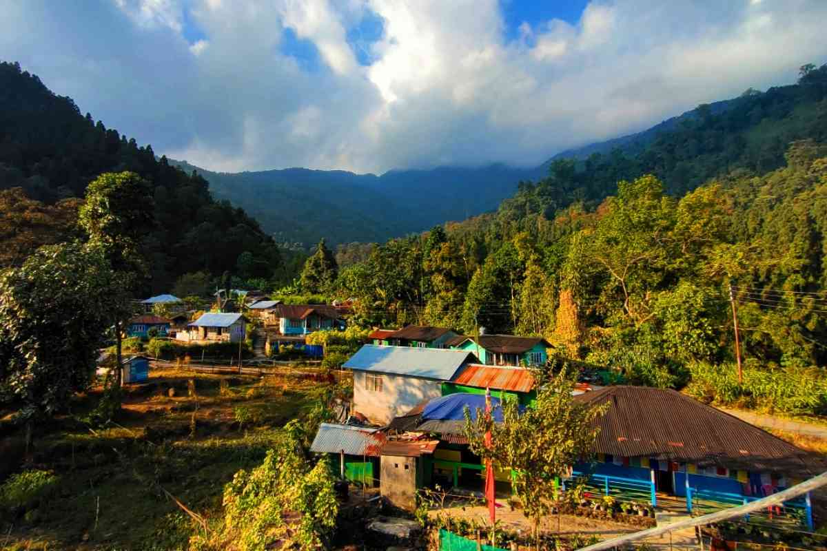 Rongo's RiverSide Farmstay - Rongo