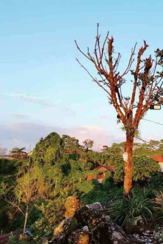 Esti Kutum Farm Stay